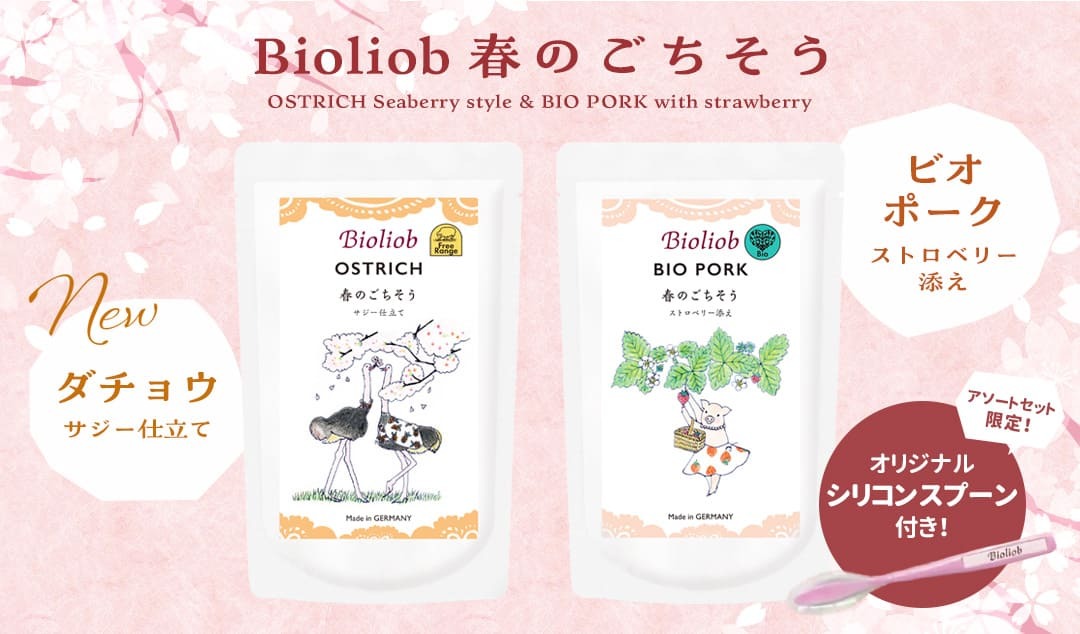 ビオリオーブ春のごちそう新登場