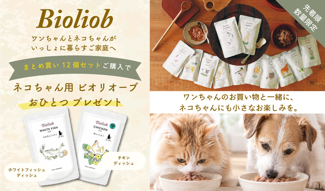 プレゼントキャンペーン