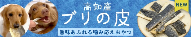 高知産 ブリの皮新登場！