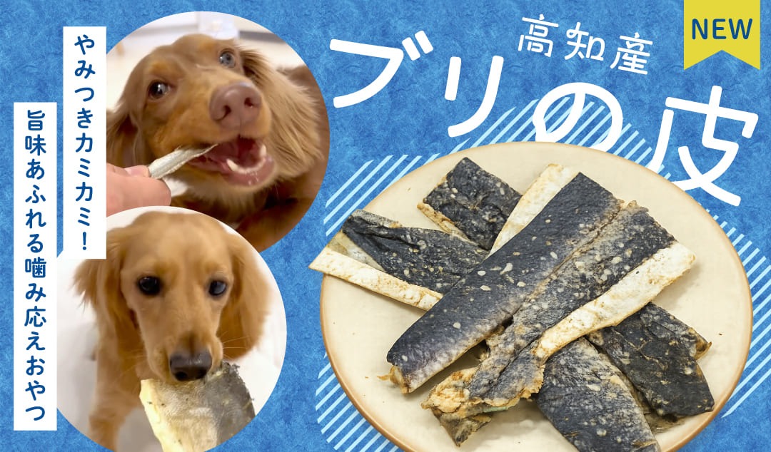 新商品！ブリの皮登場！