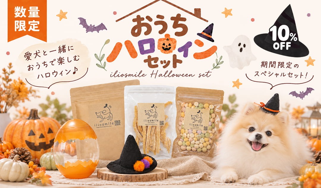 おうちハロウィンセット新登場！