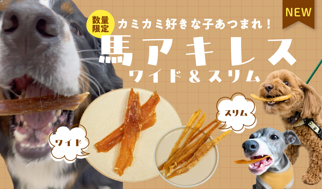 馬アキレスワイド・スリム新登場！