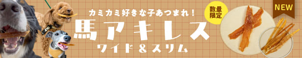 馬アキレスワイド・スリム新登場