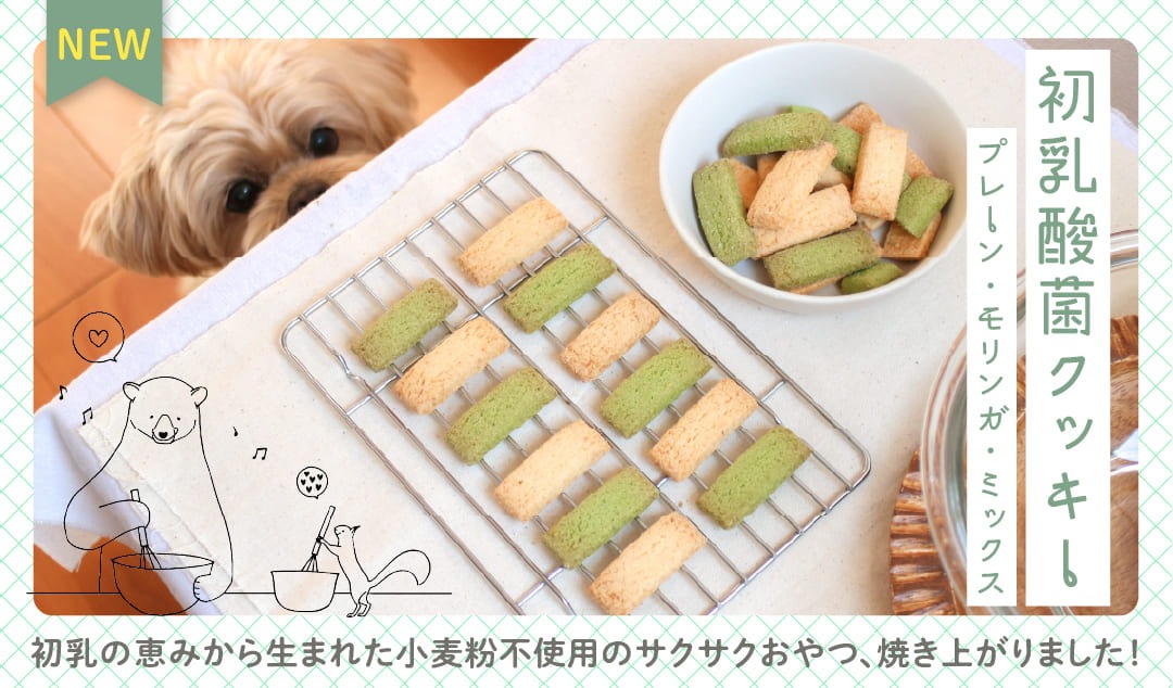 初乳酸菌クッキーシリーズ新登場！