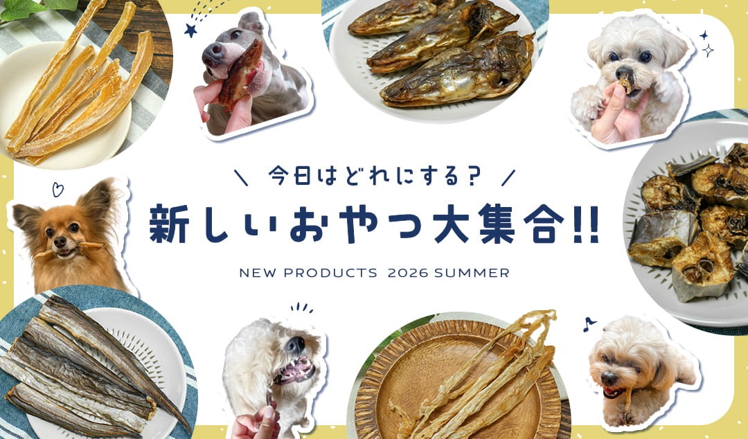 新しいおやつ大集合！2026年夏