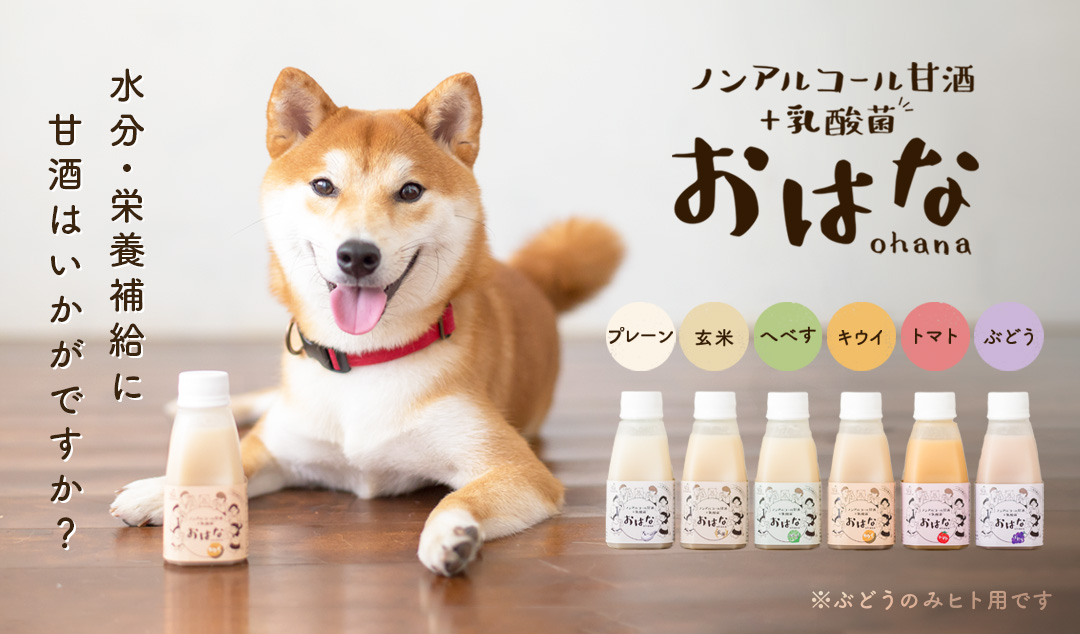 ノンアルコール甘酒+乳酸菌