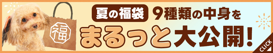 夏の福袋販売中！