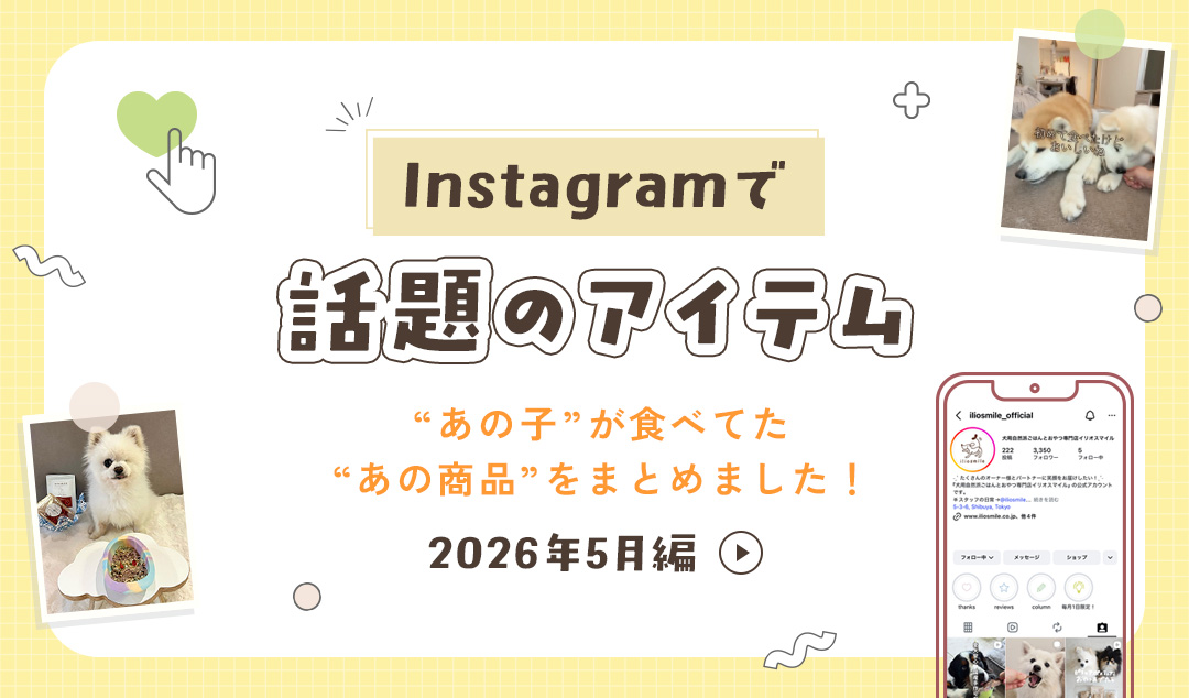 Instagramで話題のアイテム