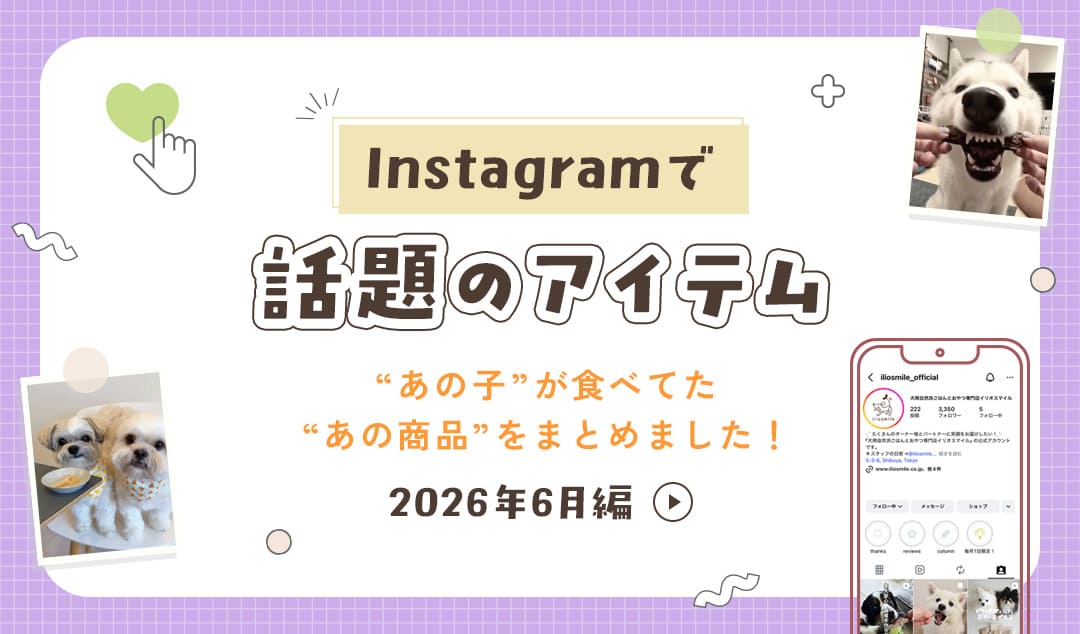 Instagramで話題のアイテム