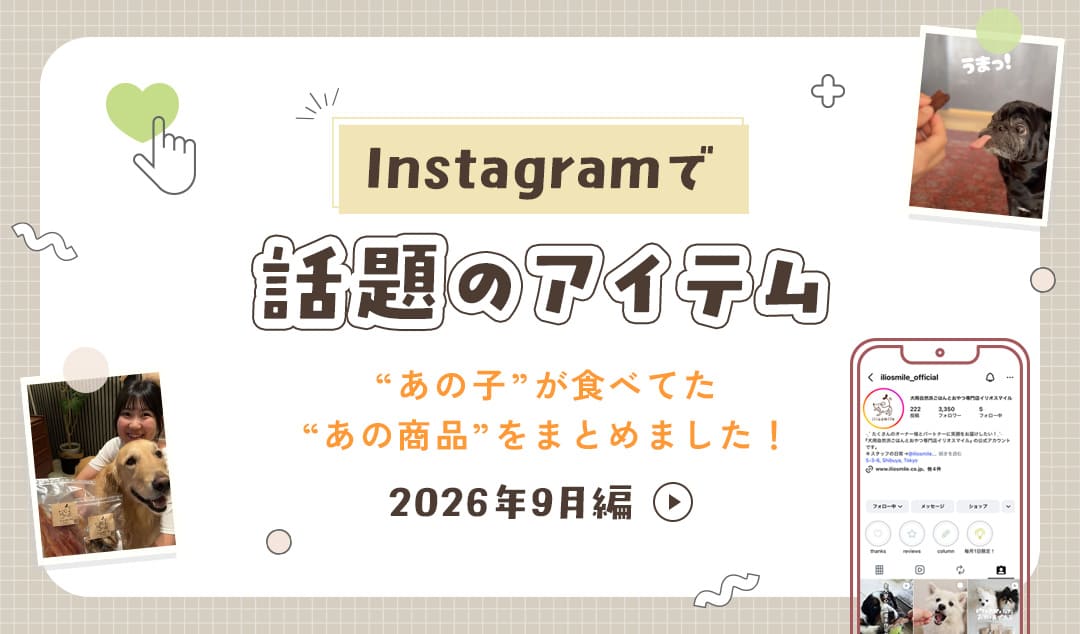 SNSで話題のあの子が食べていたアイテムをご紹介！