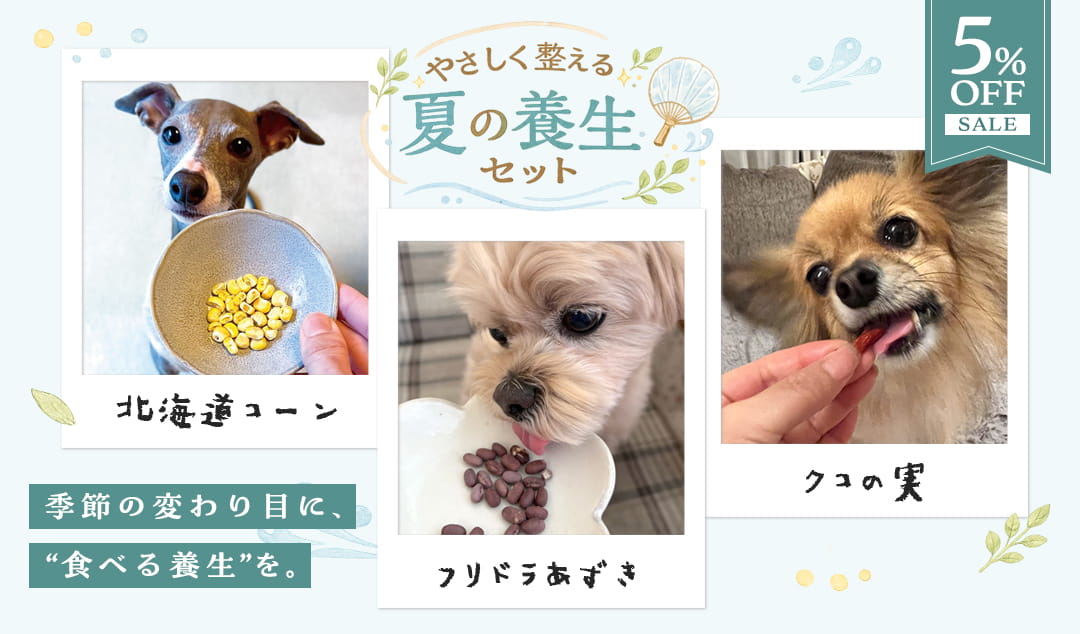 やさしく整える夏の養生セット