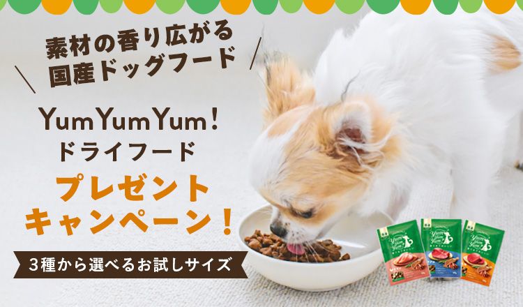 Yum Yum Yum!プレゼントキャンペーン