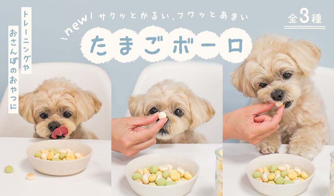 新商品モニター募集