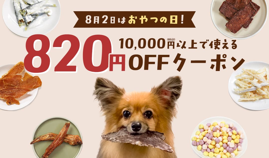 スペシャルクーポン配布決定