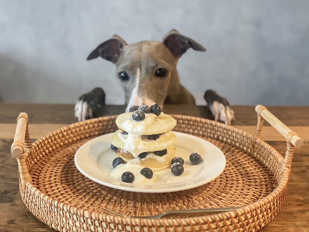ナチュパンオリちゃん