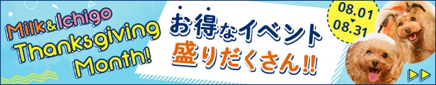 名誉看板犬ミルク＆いちごから皆様へ「Thanksgiving Month! 2026」