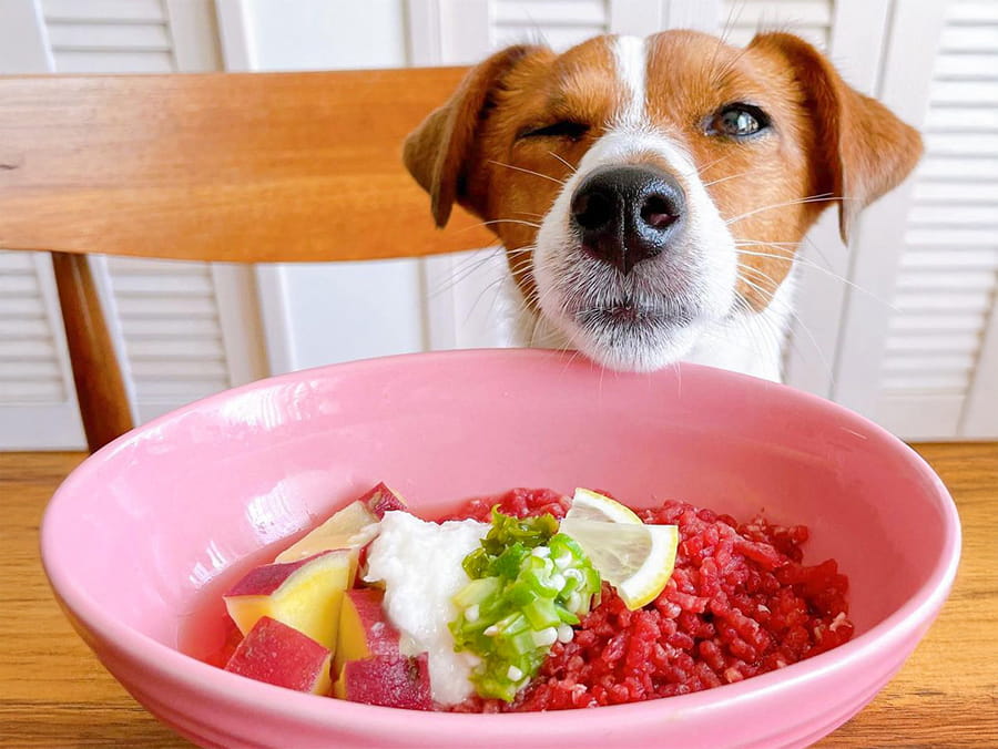 8/29は馬肉（バニク）の日！生馬肉10袋セットが期間限定価格に！