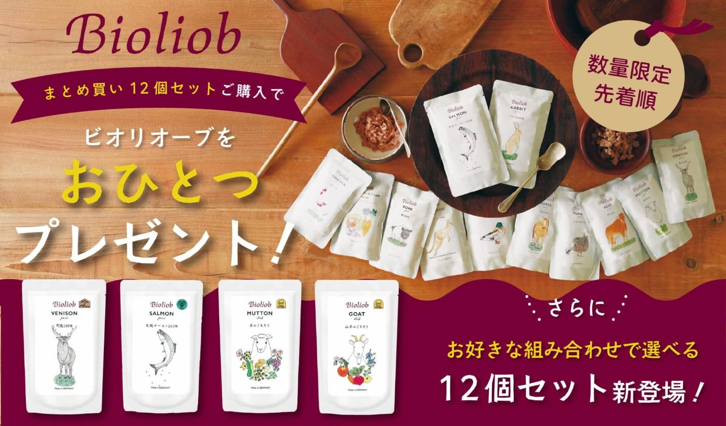 ビオリオーブプレゼントキャンペーン開催中！