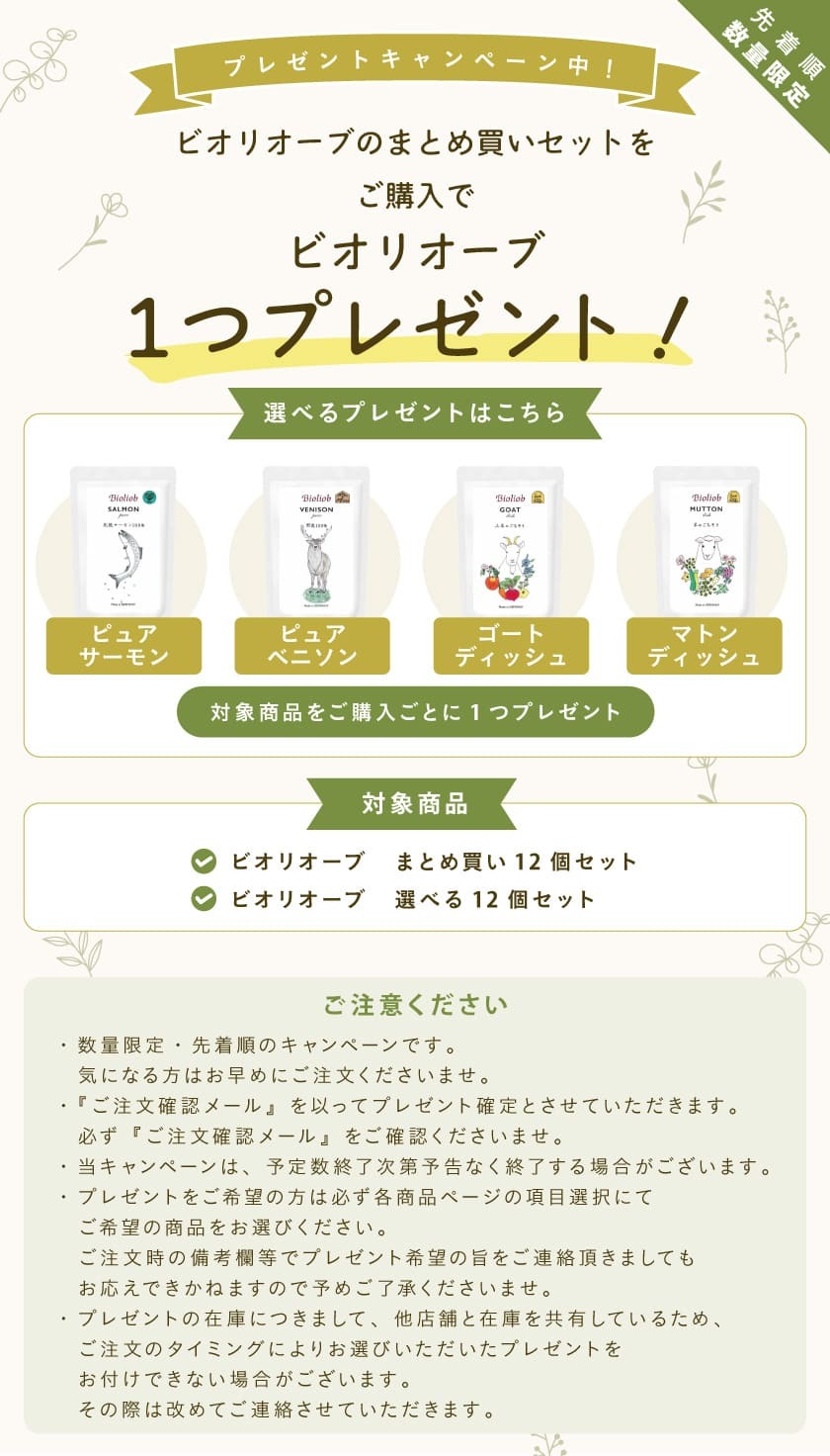 プレゼントキャンペーン