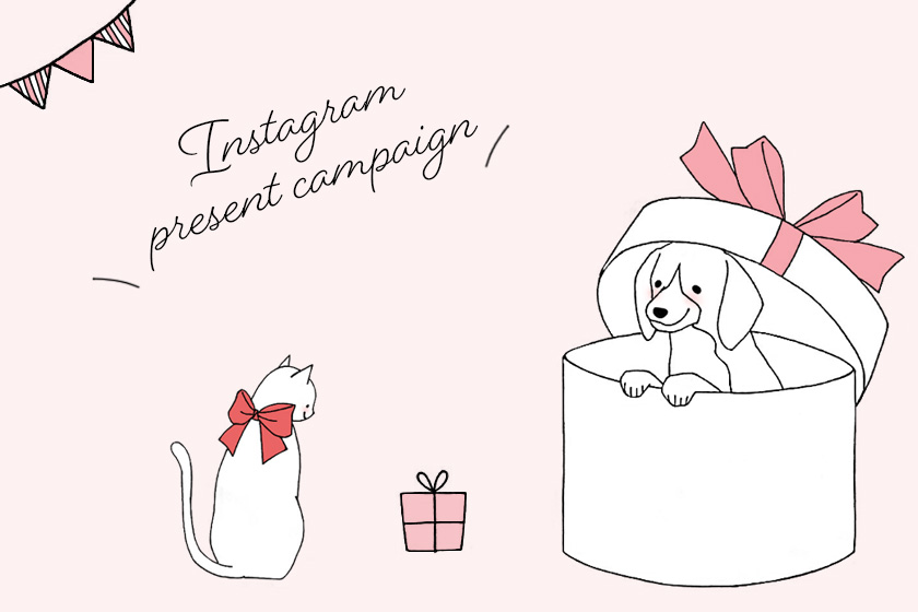 Instagram連動企画！条件クリアで『おやつセット』プレゼント！