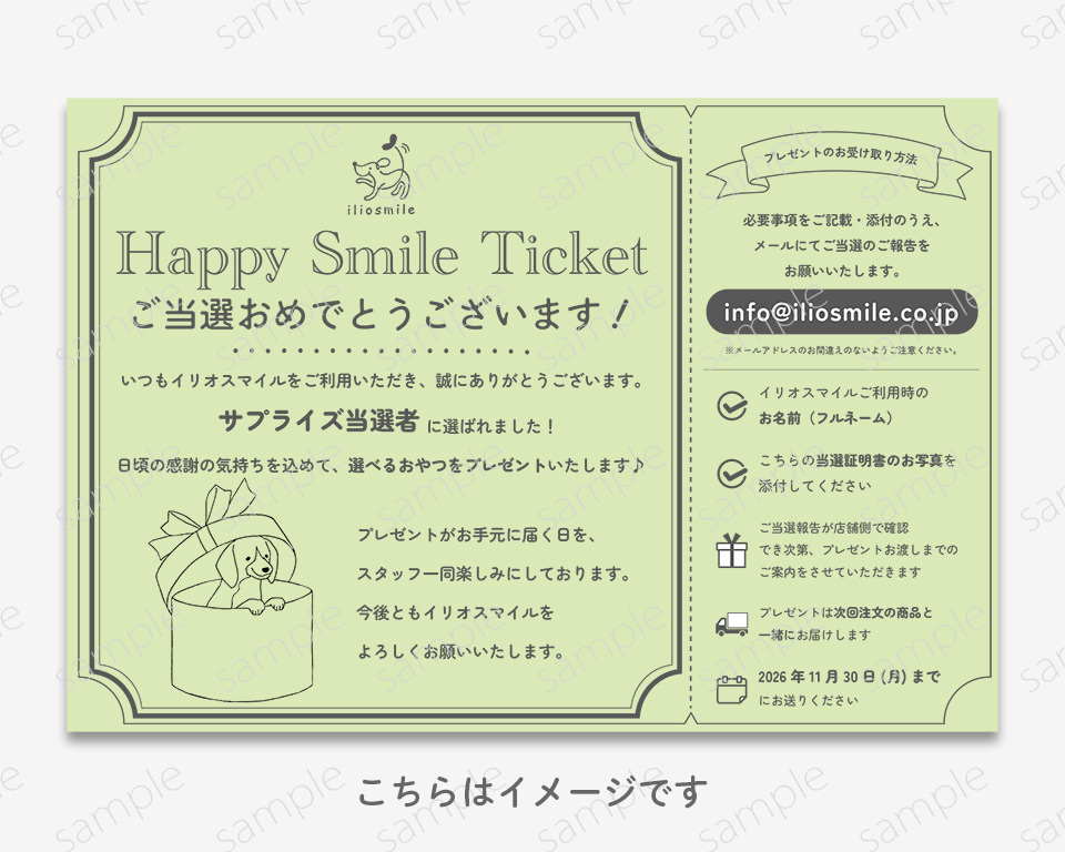 チケットイメージ