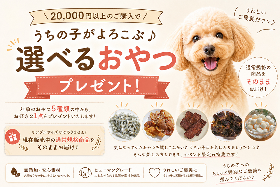 ヤギミルクシリーズ20%OFFクーポン
