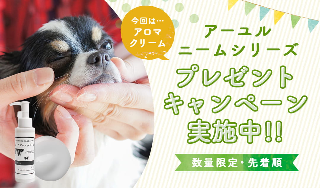 ニームシリーズプレゼントキャンペーン