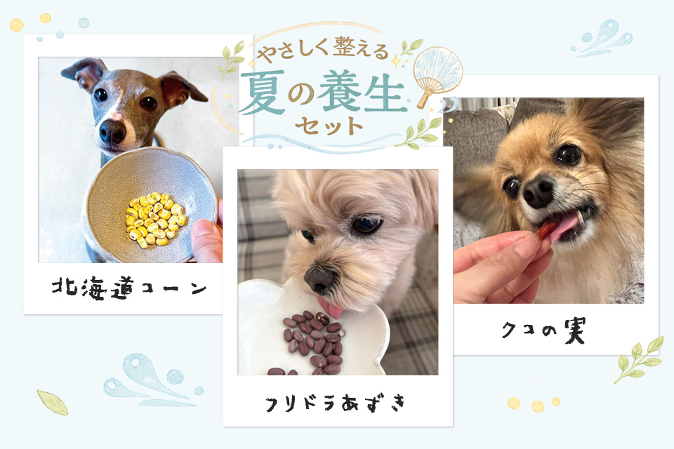 夏にぴったり！やさしく整える夏の養生セット