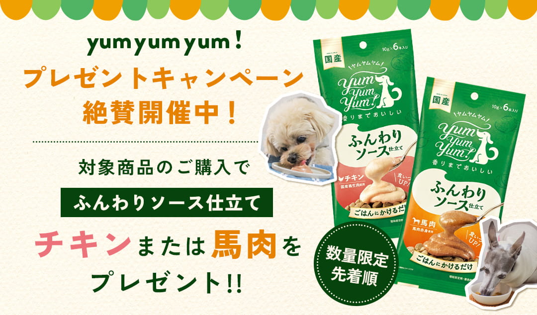 Yum選べるプレゼントキャンペーン