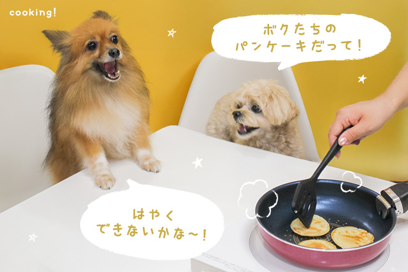 リリース記念10%OFF