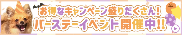 看板犬ポノお誕生日記念イベント開催中！