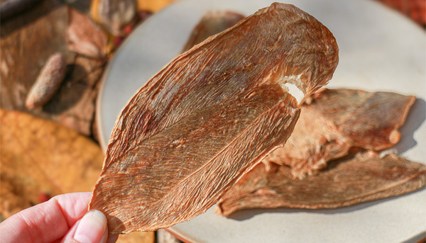 捨てられていた命を大切に MOTTAINU LAB始動！鹿ジャーキー発売