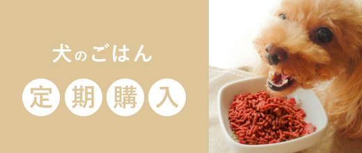 犬のごはん定期購入