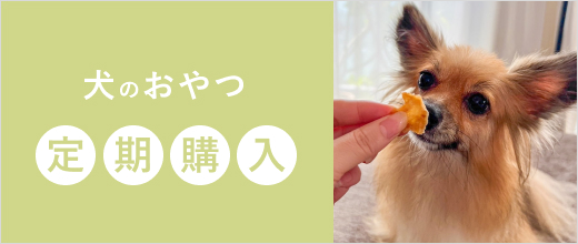 犬のおやつ定期購入