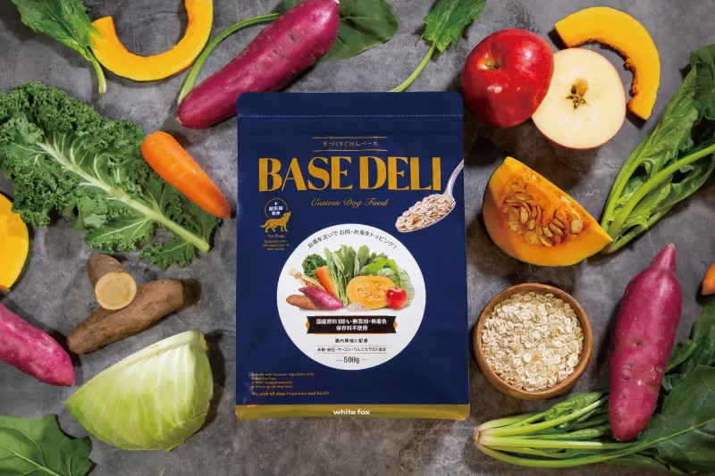 手づくりごはんベース BASE DELI
