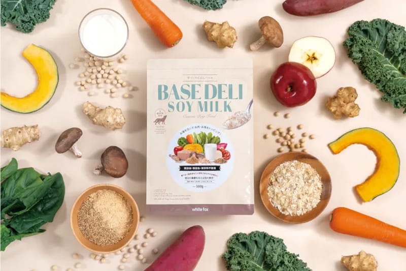 手づくりごはんベース BASE DELI ソイミルク