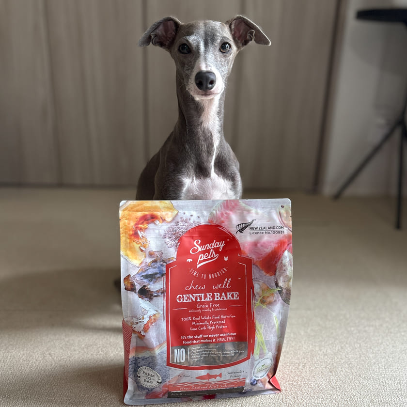 Sunday Pets ジェントルベイク