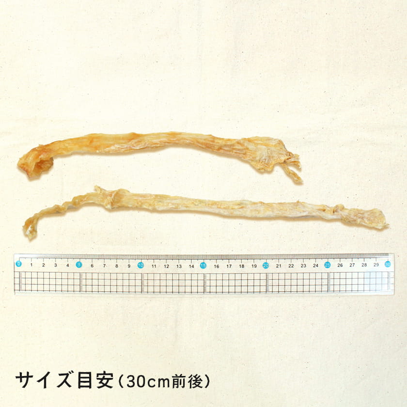 ターキーアキレス