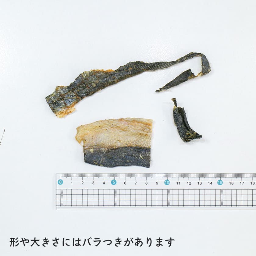 高知産 ブリの皮 100g