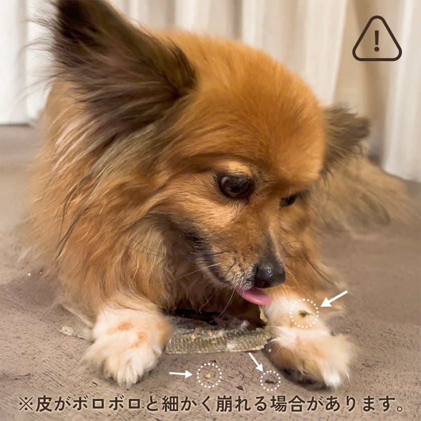 高知産 ブリの皮 100g