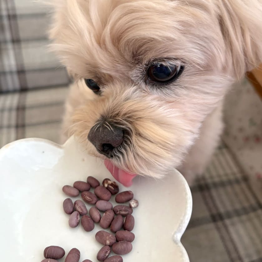 スマイル薬膳 フリーズドライ あずきちゃん 20g