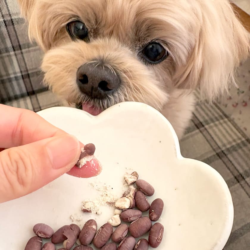 スマイル薬膳 フリーズドライ あずきちゃん 20g