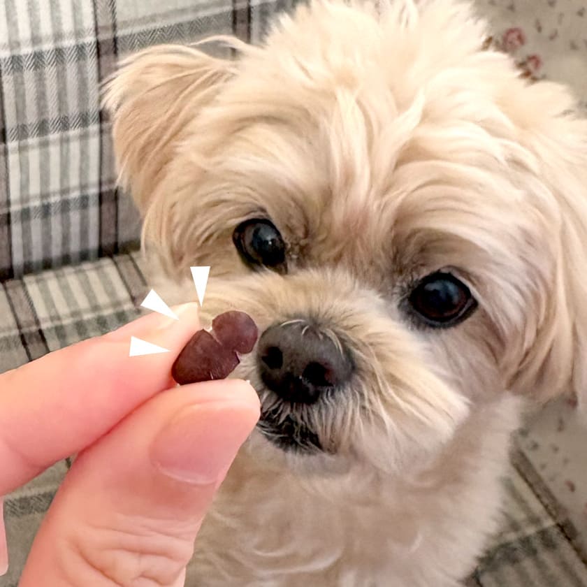 スマイル薬膳 フリーズドライ あずきちゃん 20g