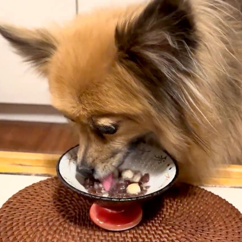 スマイル薬膳 フリーズドライ あずきちゃん 20g