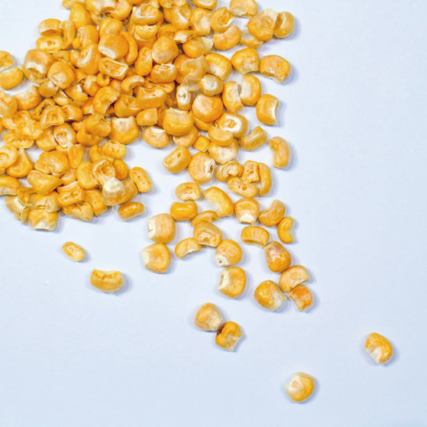 フリーズドライ 北海道コーン