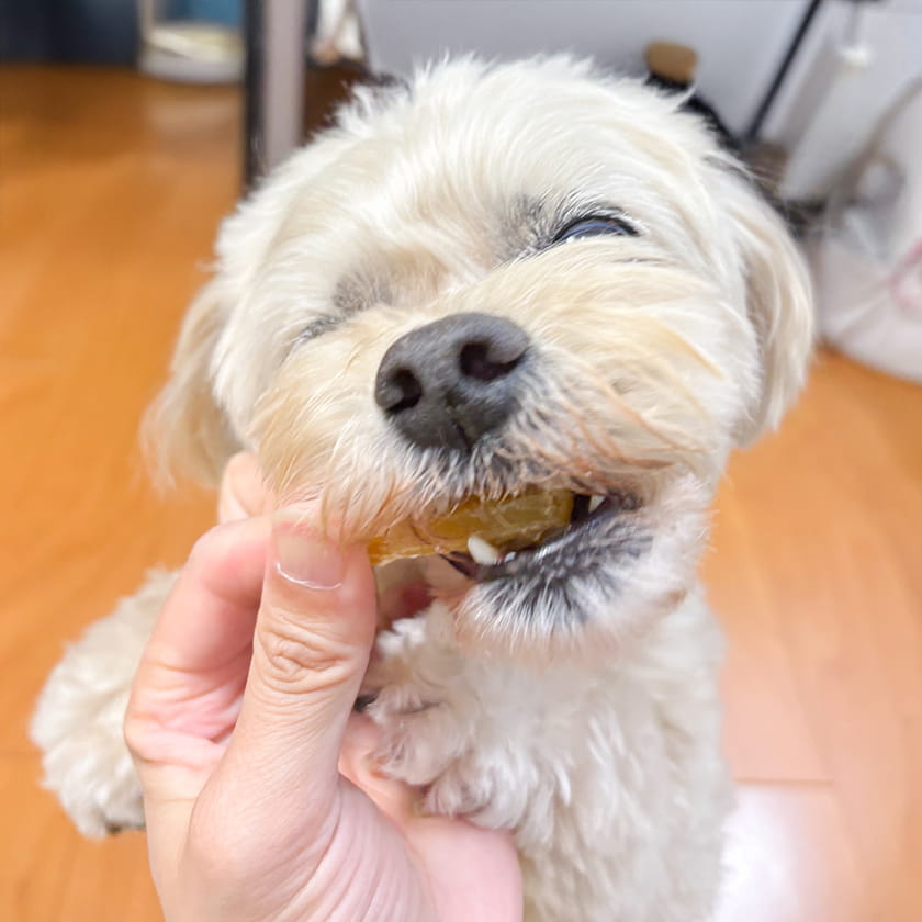 紅はるかのおいもスティック