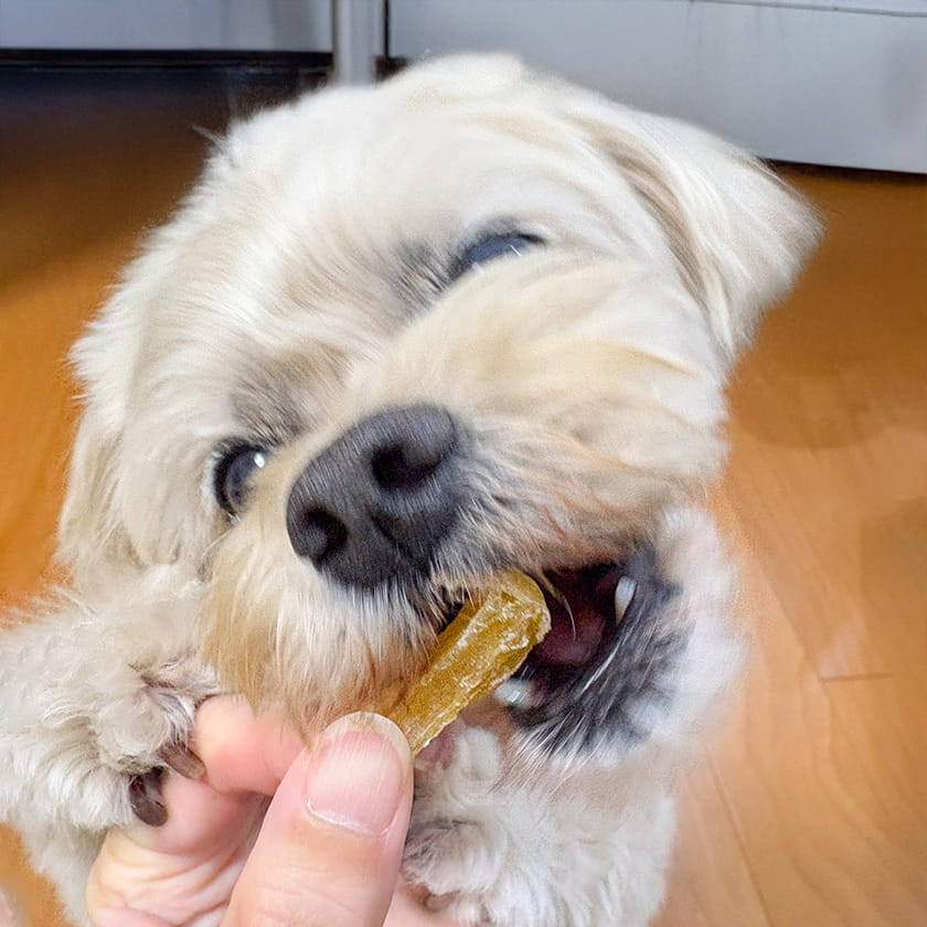 紅はるかのおいもスティック