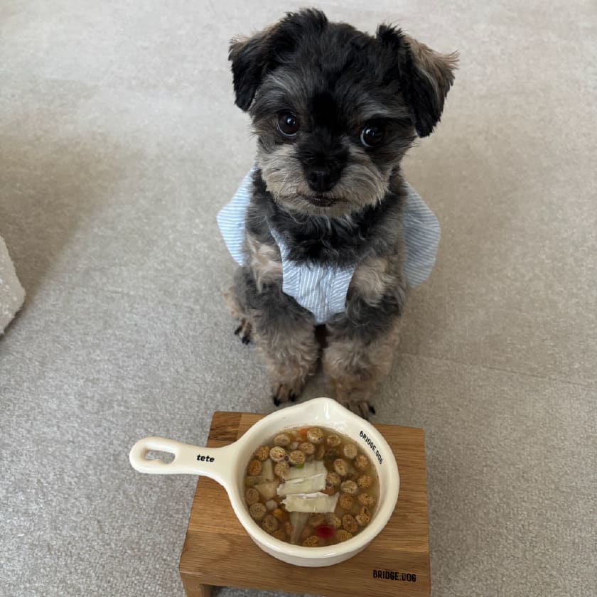 試食画像
