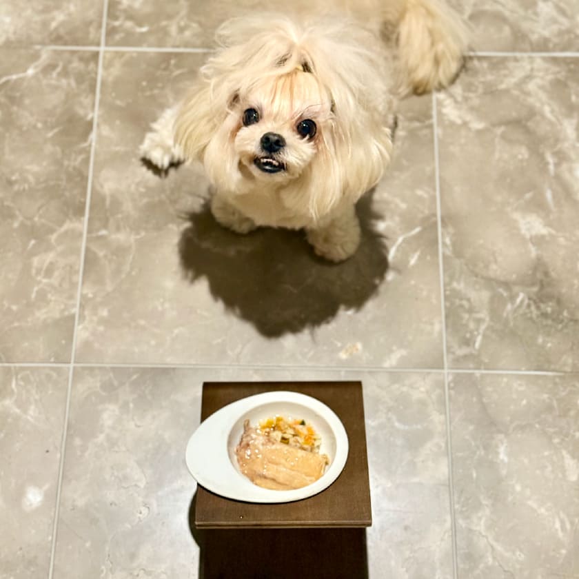 試食画像