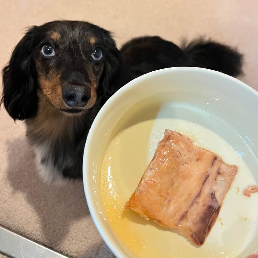 試食画像